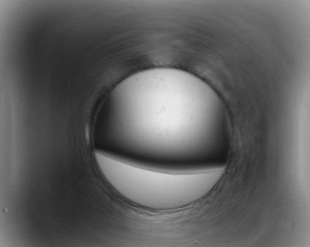 X0000089430019200706151030