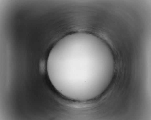 X0000089430024200706151030