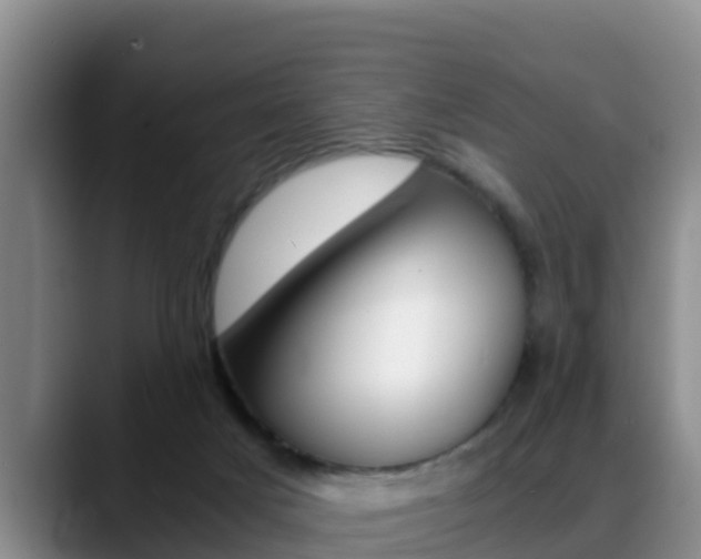 X0000089430025200706151030