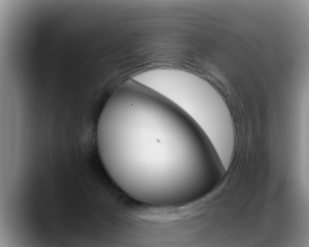 X0000089430029200706151030