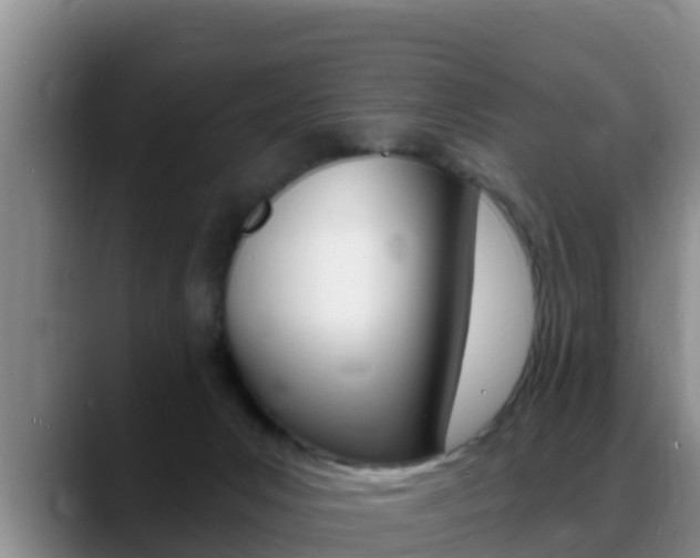 X0000089430031200706151030
