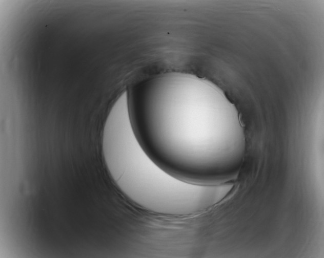 X0000089430033200706151030