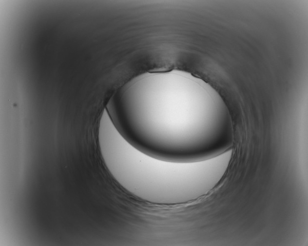 X0000089430037200706151030