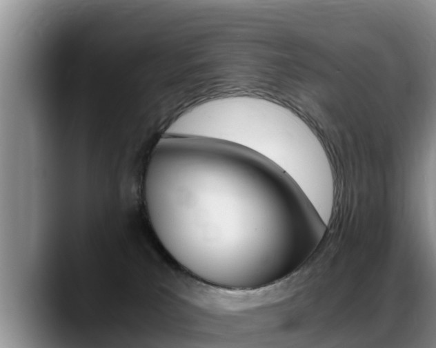 X0000089430039200706151030