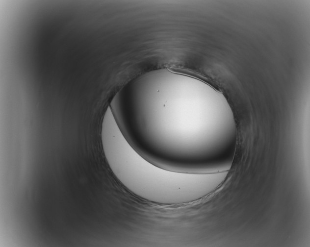 X0000089430041200706151030