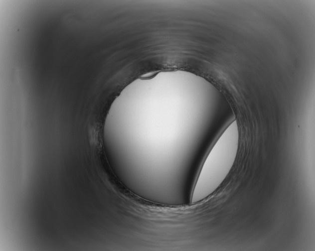 X0000089430044200706151030