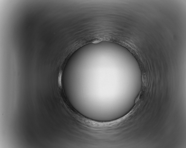 X0000089430047200706151030