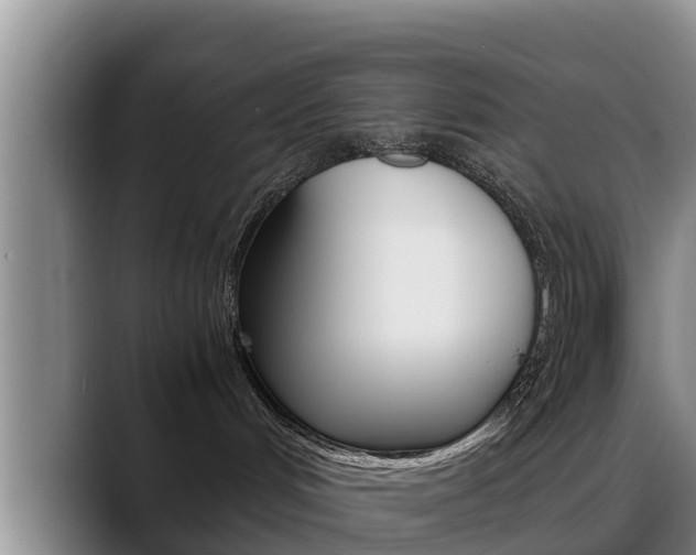 X0000089430048200706151030