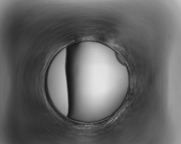 X0000089430049200706151029