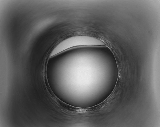 X0000089430052200706151029