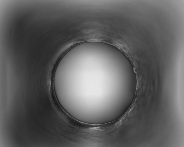 X0000089430054200706151029