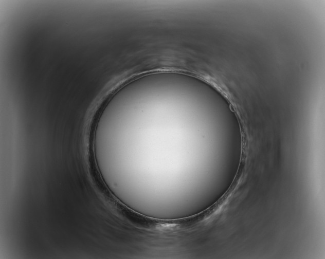 X0000089430055200706151029