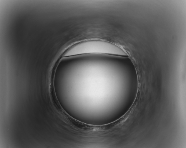 X0000089430056200706151029