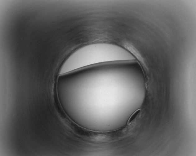 X0000089430058200706151029