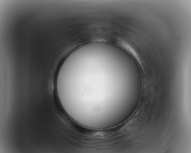 X0000089430059200706151029