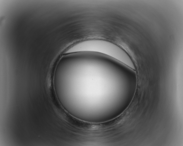 X0000089430060200706151029