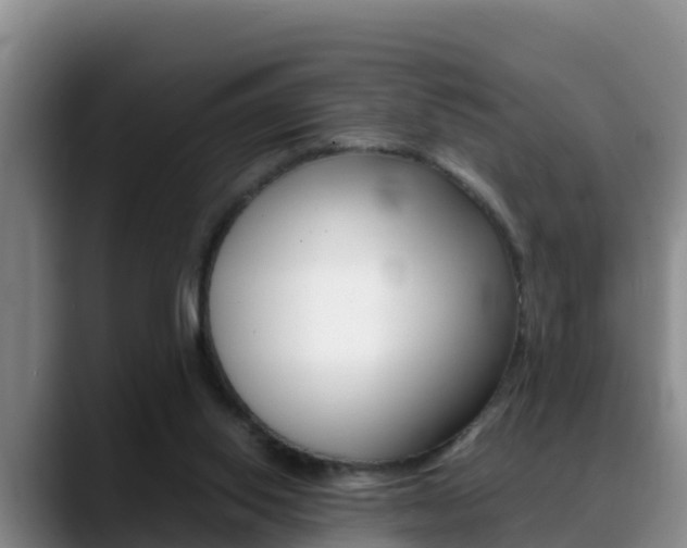 X0000089430062200706151029