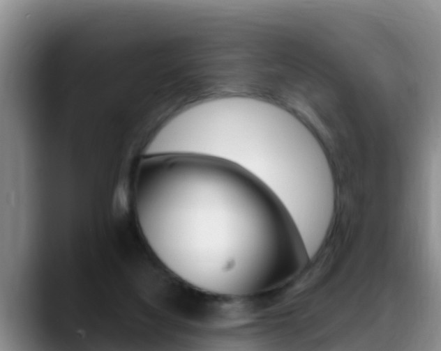 X0000089430068200706151029