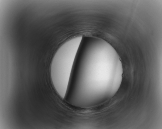 X0000089430075200706151029
