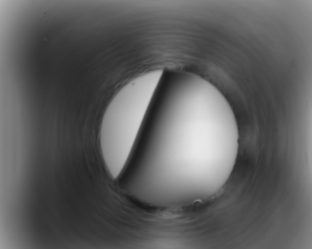 X0000089430078200706151030