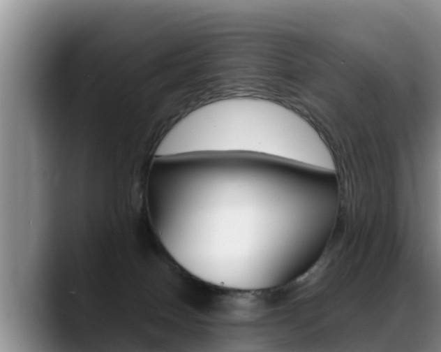 X0000089430086200706151030