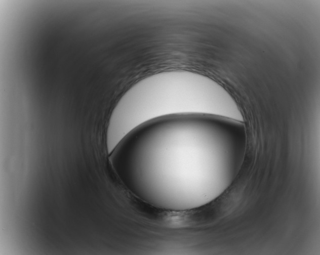 X0000089430088200706151030