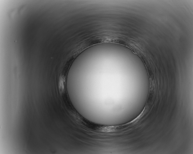 X0000089430094200706151030