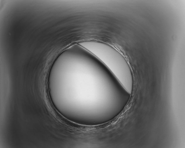 X0000089430097200706151029