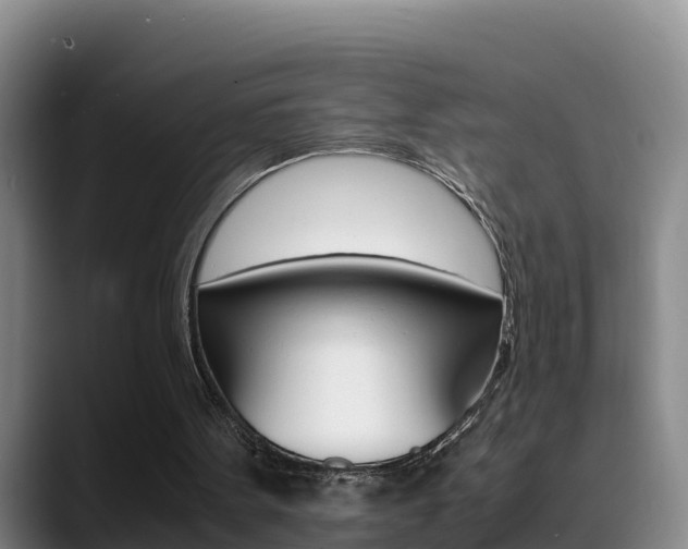 X0000089430099200706151029