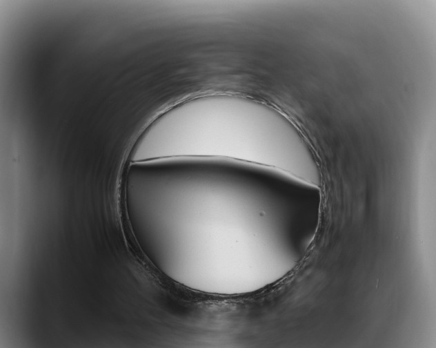 X0000089430100200706151029