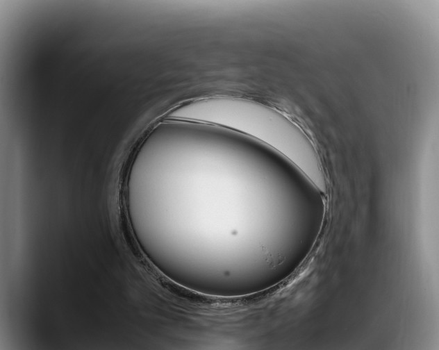 X0000089430101200706151029