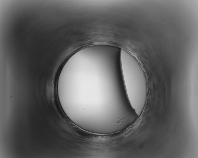 X0000089430102200706151029