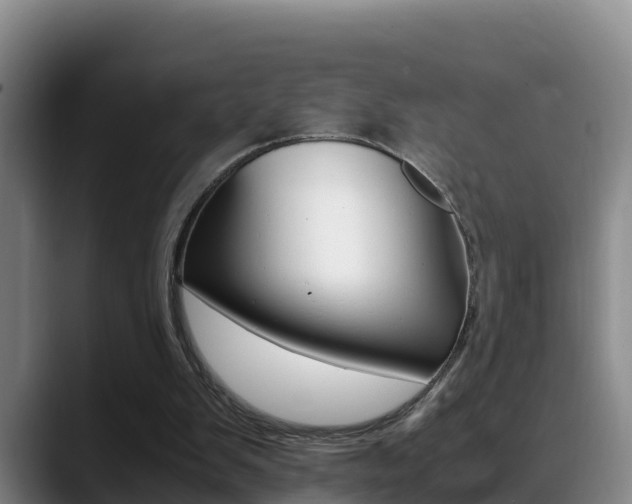 X0000089430103200706151029