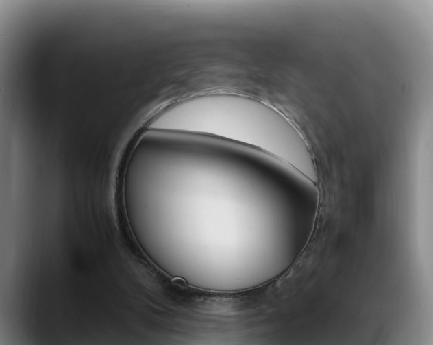 X0000089430104200706151029
