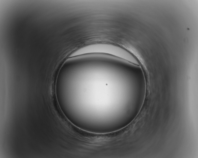 X0000089430105200706151029