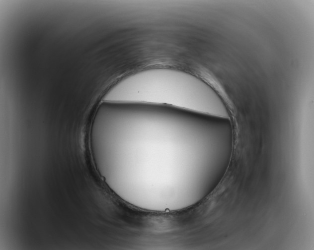 X0000089430106200706151029