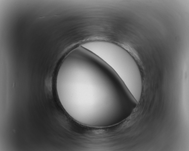 X0000089430108200706151029