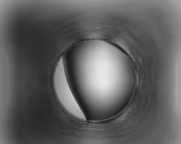 X0000089430109200706151029