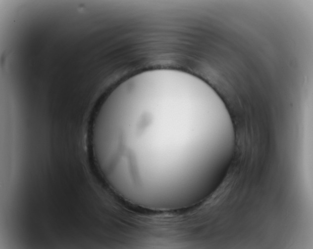 X0000089430112200706151029