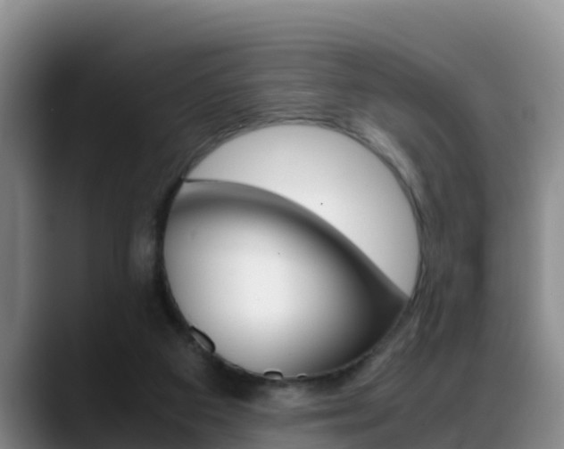 X0000089430113200706151029