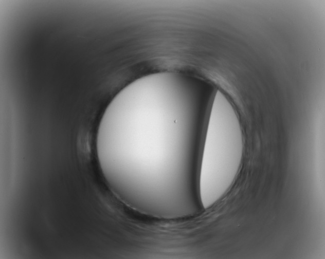 X0000089430115200706151029