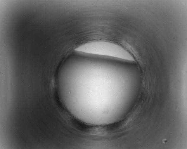 X0000089430117200706151029