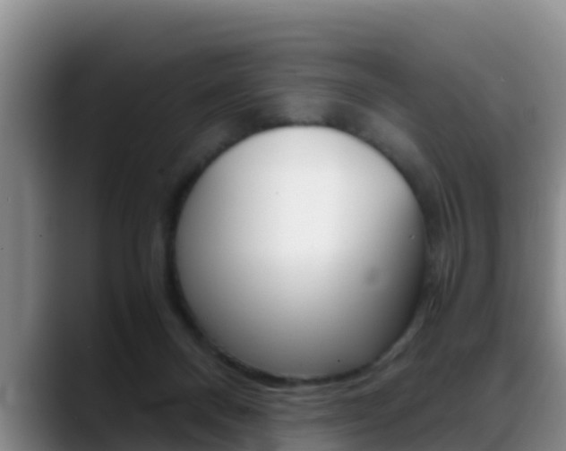 X0000089430120200706151029