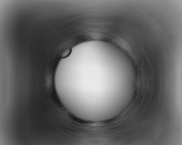 X0000089430122200706151029