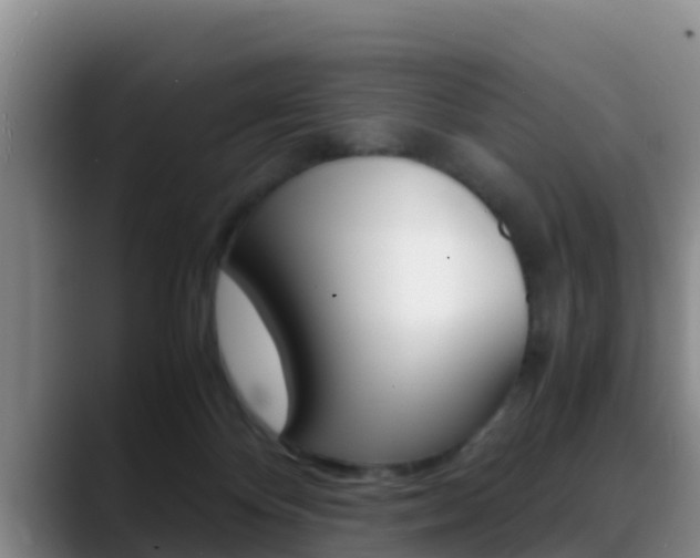 X0000089430124200706151029