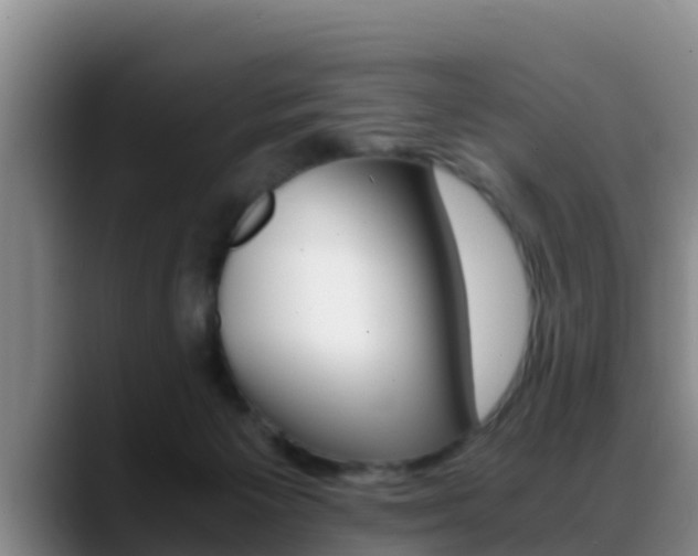 X0000089430125200706151029