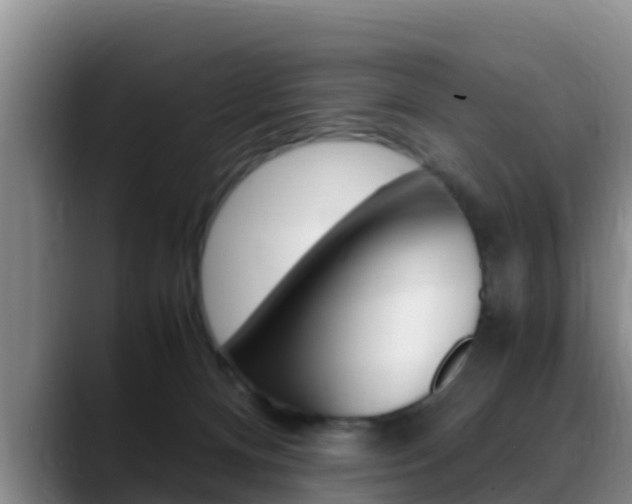 X0000089430128200706151029
