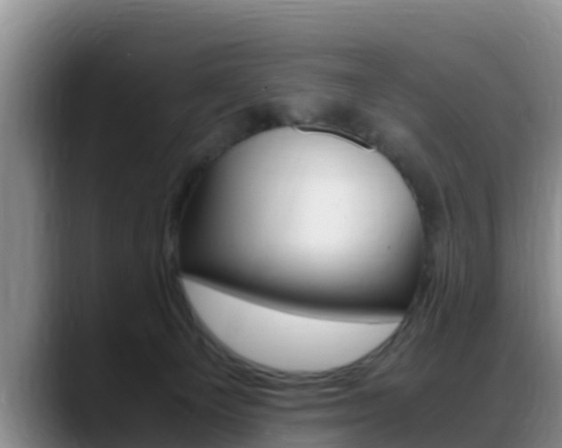 X0000089430129200706151029