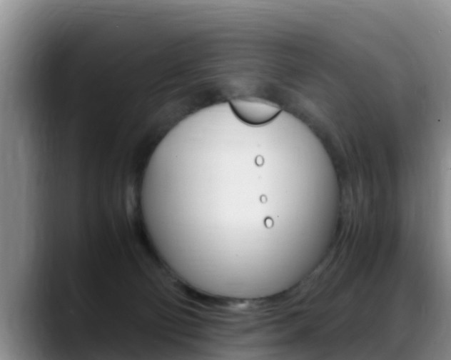 X0000089430130200706151029