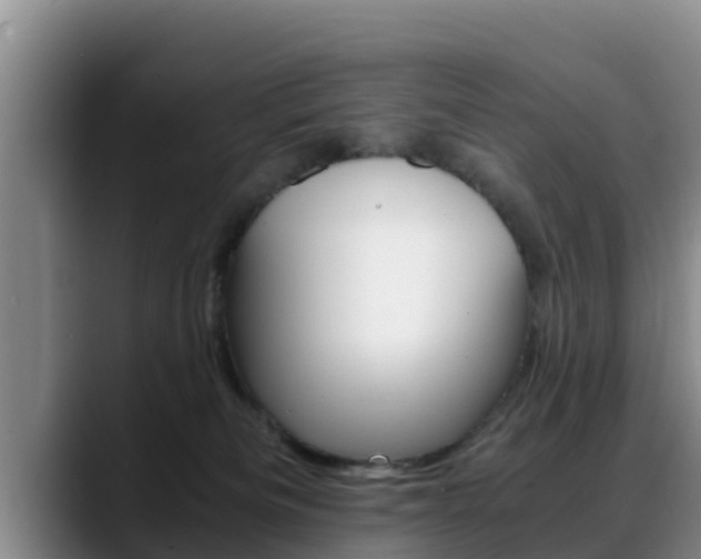 X0000089430133200706151029